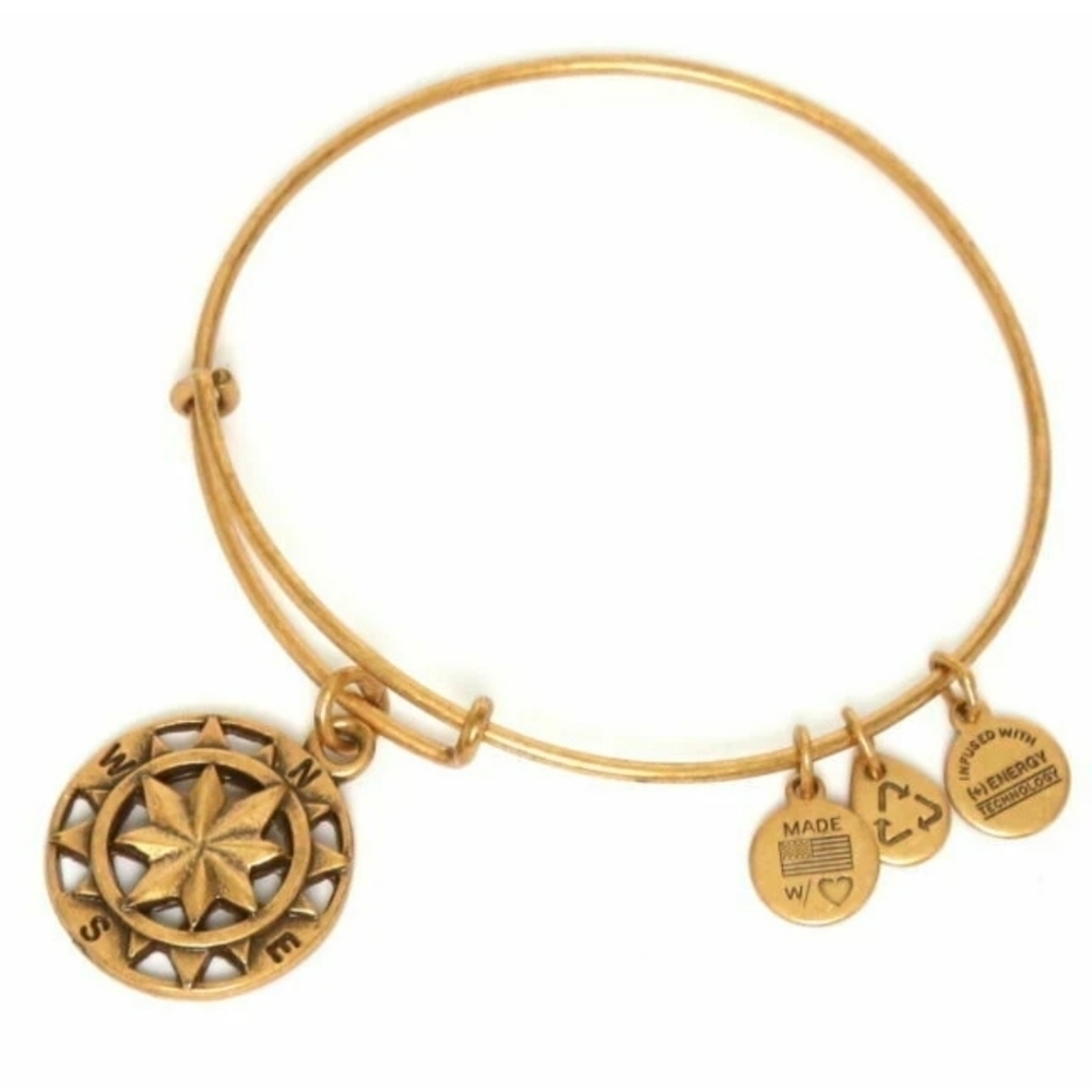 ALEX & ANI Rafaelian Gold Bangle Bracelet Compass